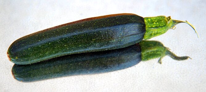 Vegetables garden nature