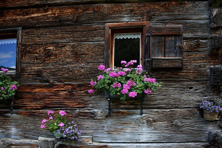 Alpine summer allgäu