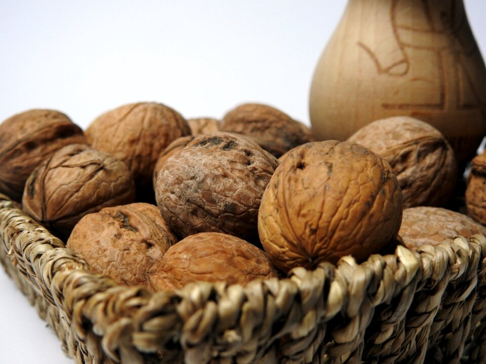 Autumn food nutrition