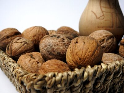 Autumn food nutrition