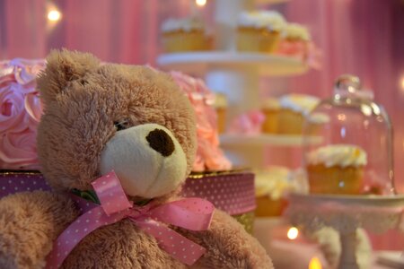 Baby shower bear resting photo