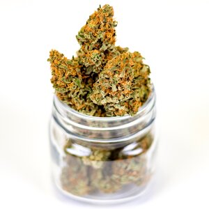 Cannabis drug hemp photo
