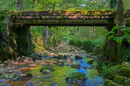 Wood pedestrian bridge boardwalk