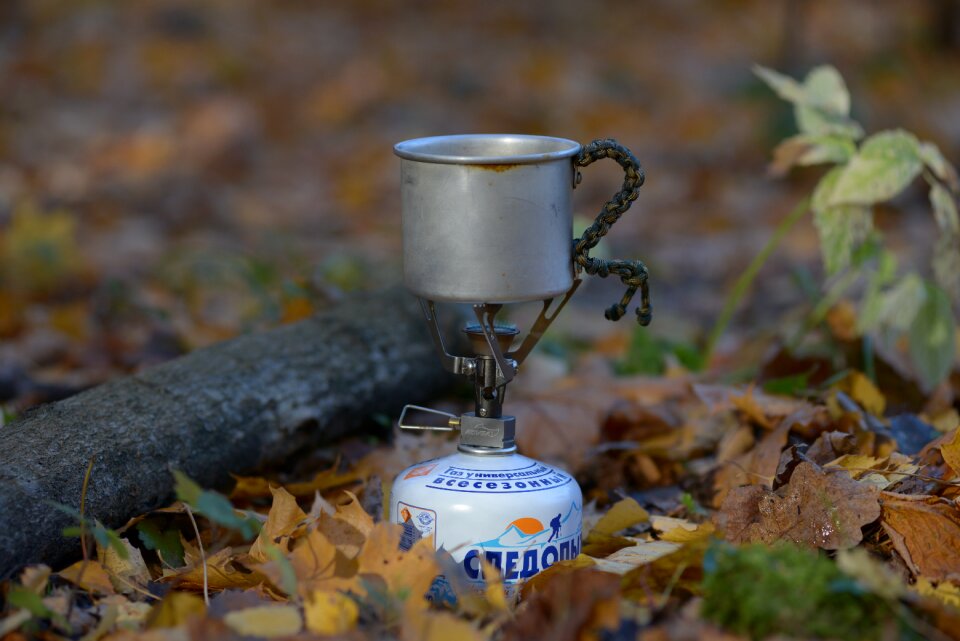 Journey autumn nature