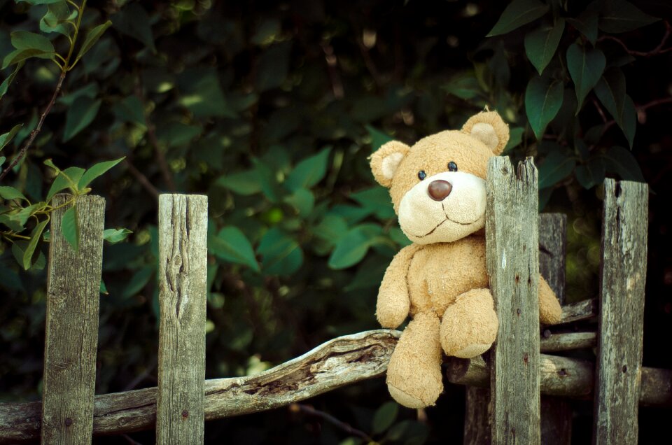 Cute childhood tree