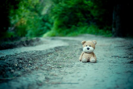 Childhood cute nature