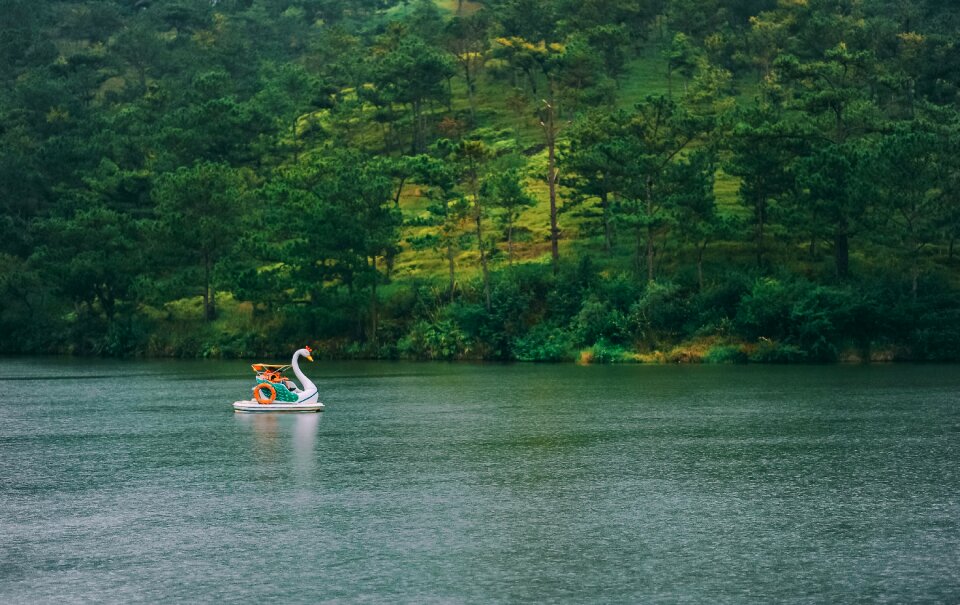 Nature water summer