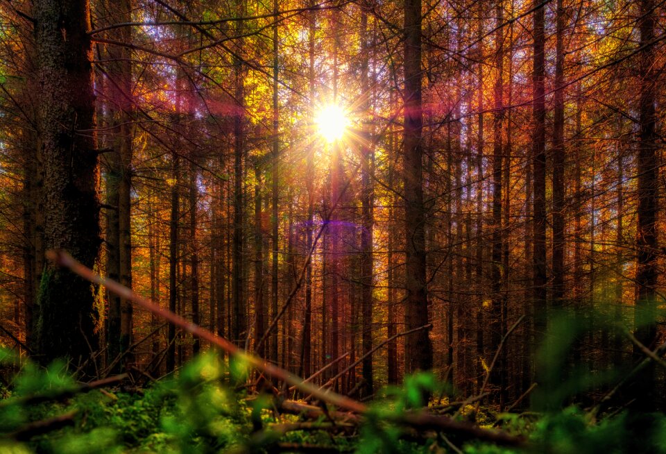 Light autumn colorful