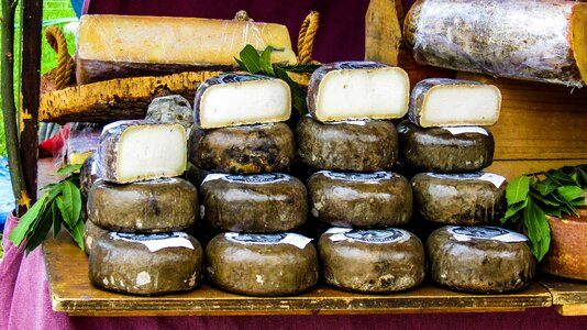 Manchego cheese food snack