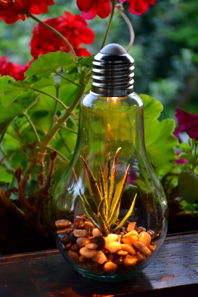 Light decorate evening