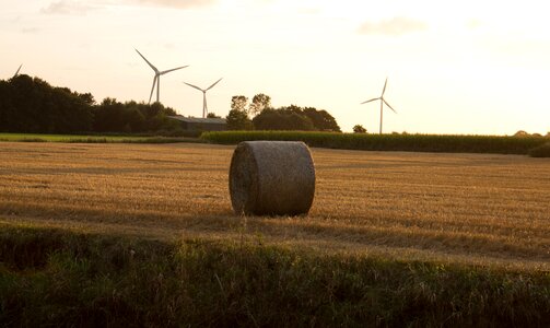 Land agriculture sun