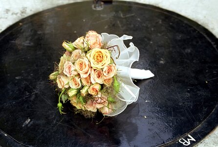 Flower love romantic