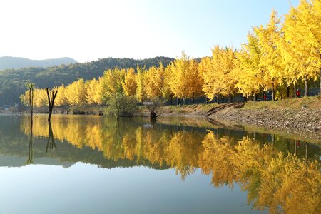 Fishing morning autumn photo