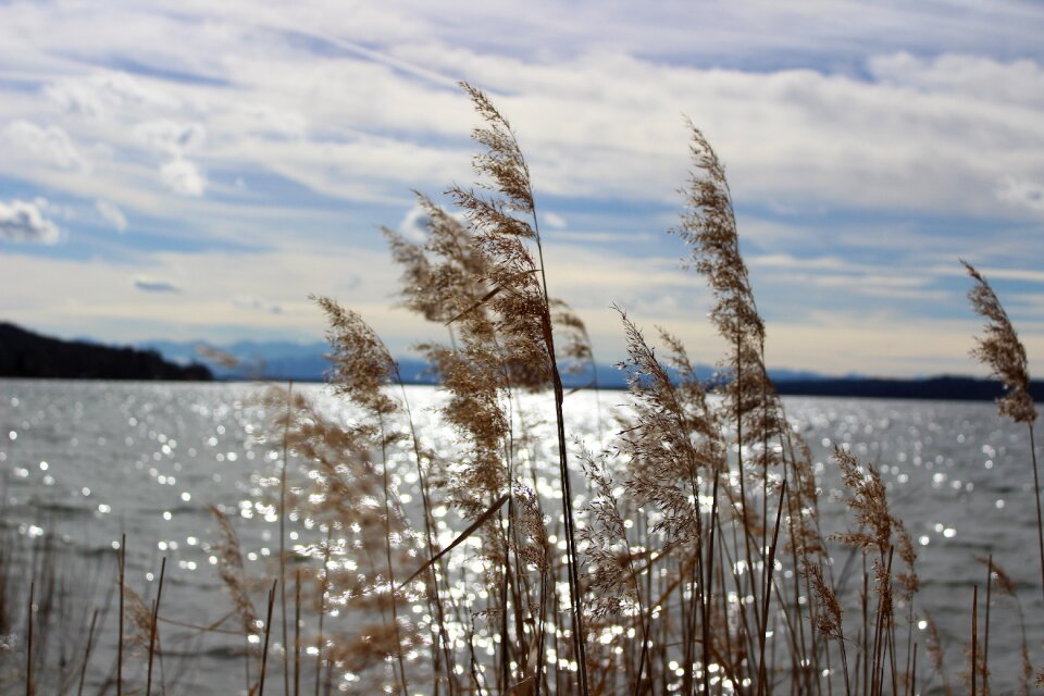 Water landscape sky