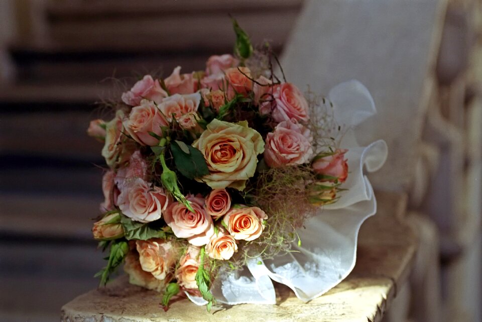 Rose love romantic