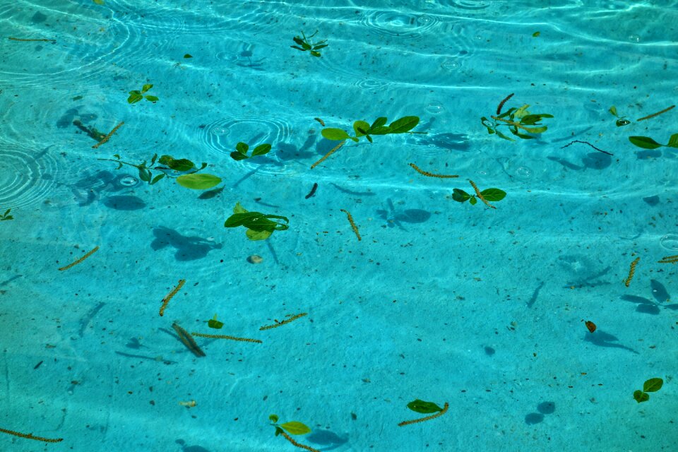 Clear transparent fountain