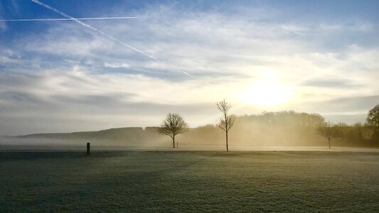 Sun field landscape