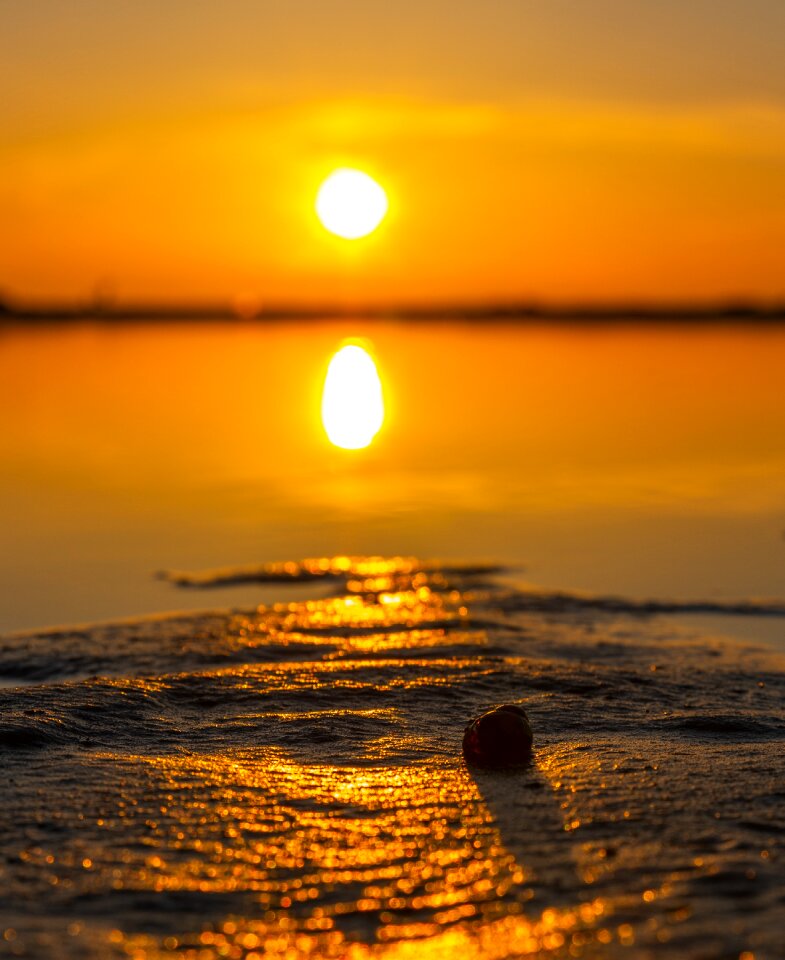 Water twilight shell photo