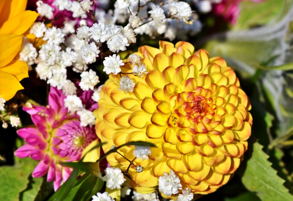 Arrangement bouquet bud