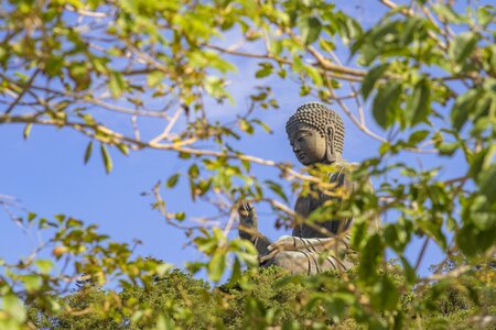 Buddha religion humanities photo