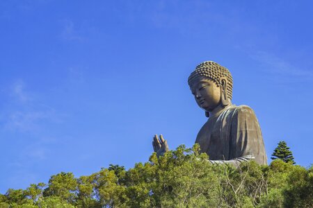 Buddha religion humanities photo