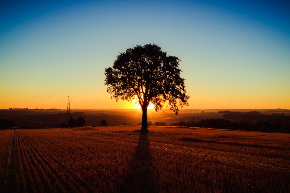 Beautiful nature rest