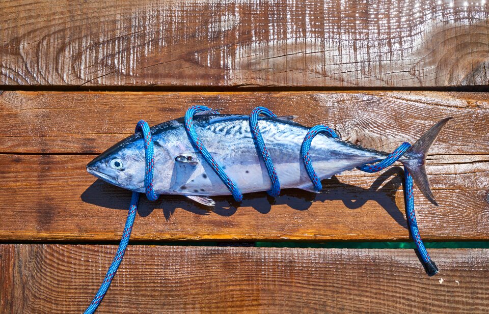 Marine restaurant fisherman