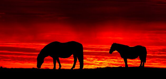 Twilight dawn outdoor