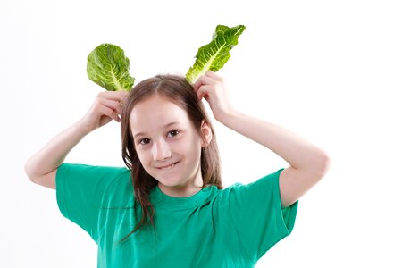 Vegetables food fresh