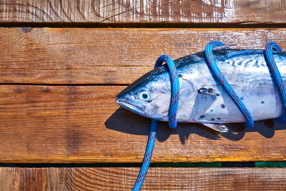 Marine restaurant fisherman