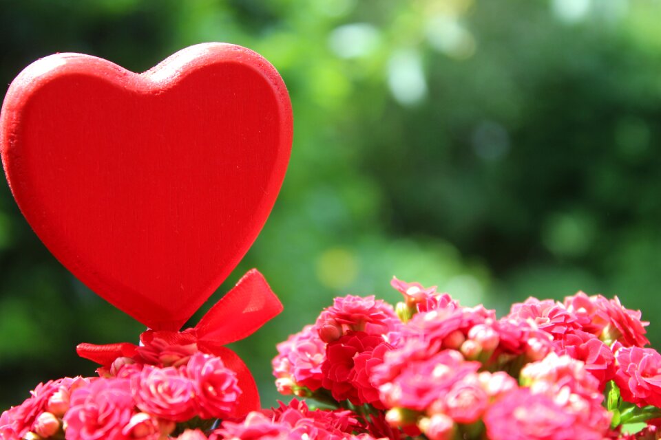 Valentine's day mother's day close up