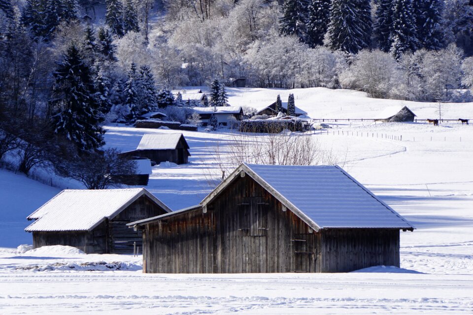 Nature cold landscape