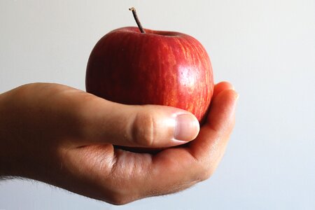 Red apple plan background give