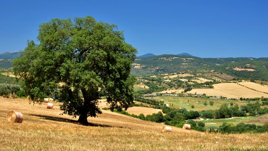 Italy landscape summer photo
