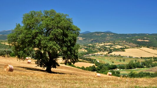 Italy landscape summer