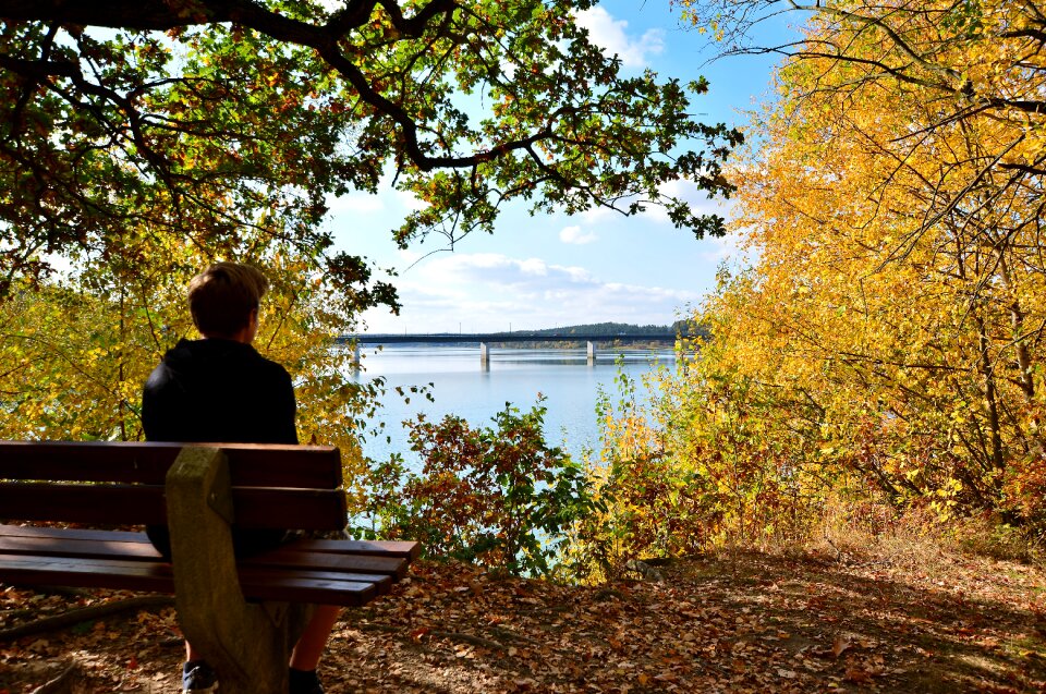 Landscape bridge panorama