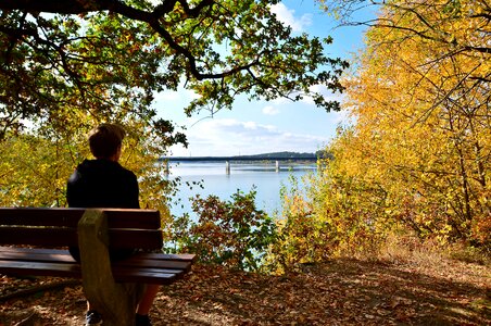 Landscape bridge panorama
