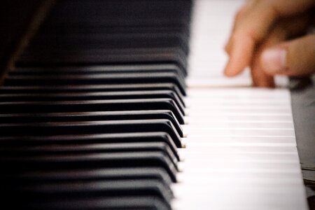 Musician composition entertainment