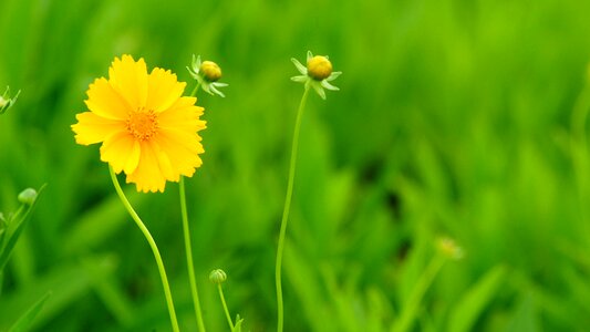 Plants garden season them