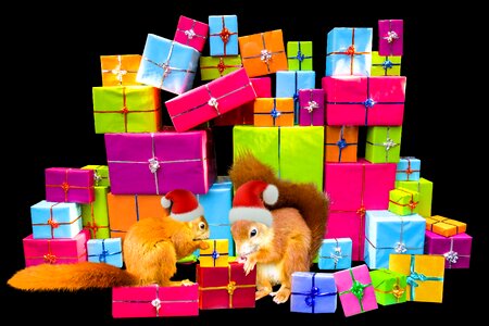 Gifts surprise squirrel