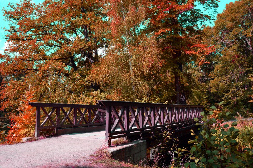 Landscape nature scenic