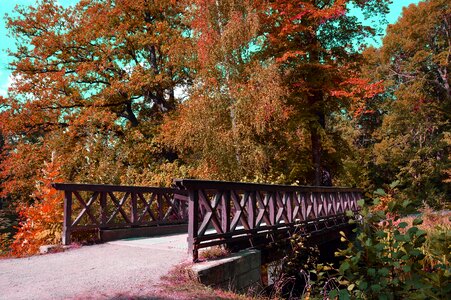 Landscape nature scenic