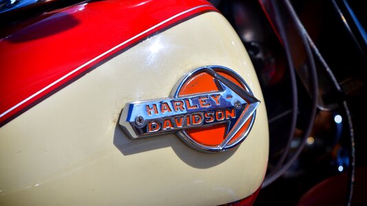 Harley motorbike davidson photo