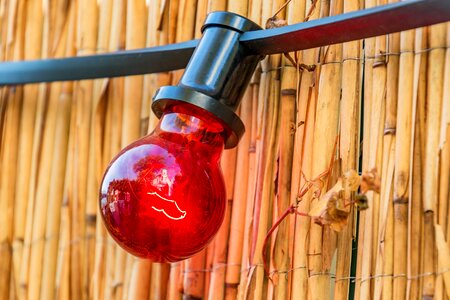 Lamp reed lichterkette