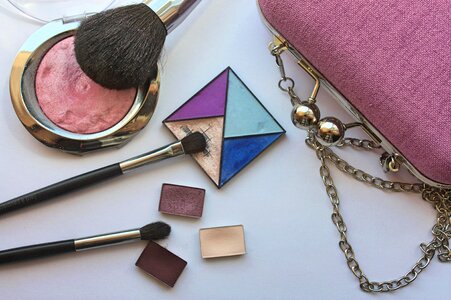 Blush brush handbag photo
