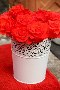 White bouquet romance