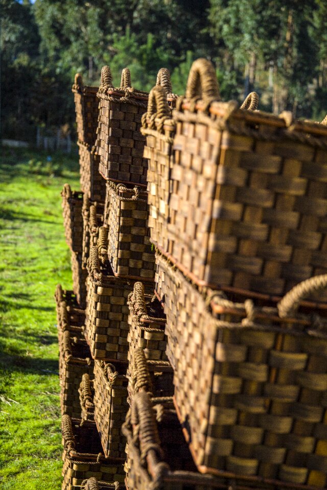 Basket wicker decoration