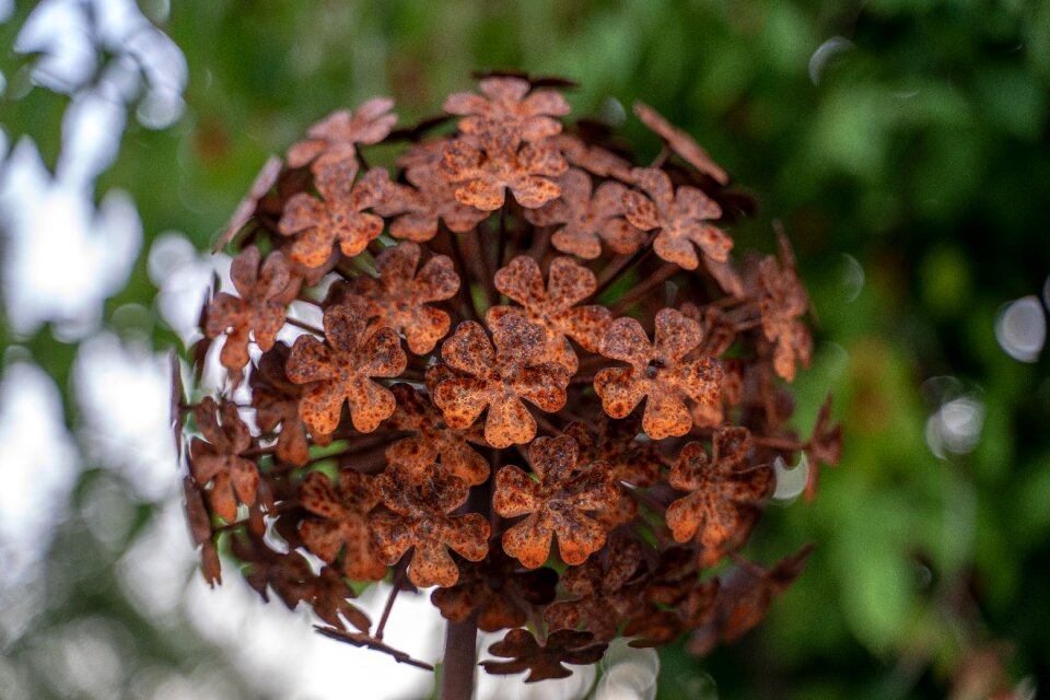 Decoration luck ball