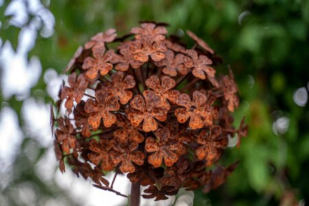 Decoration luck ball