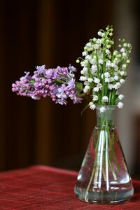 Bouquet flower may 1